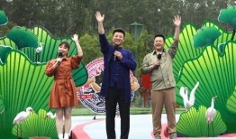 蒋依依近日爆料新闻视频,揭秘娱乐圈幕后真相